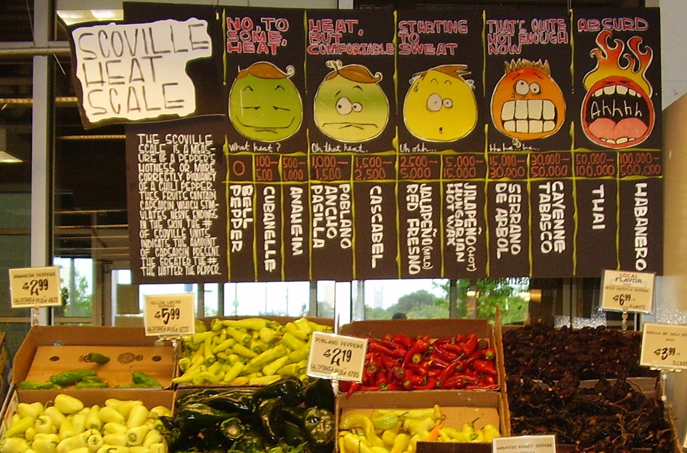 How Does The Scoville Scale Measure The Exact Hotness Of Chillies?
