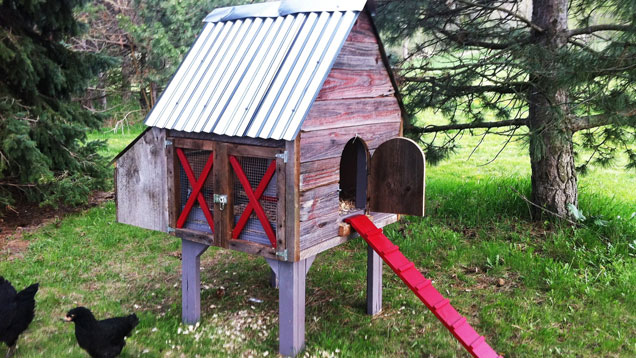 Build A Chicken Coop For Your Free Range Flock