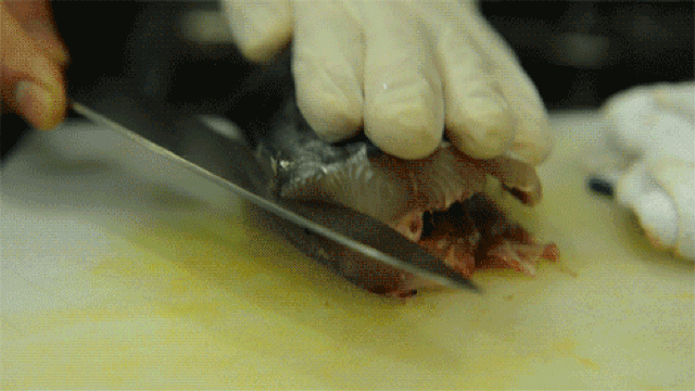 Confidently Fillet Any Fish With This Animated GIF Tutorial
