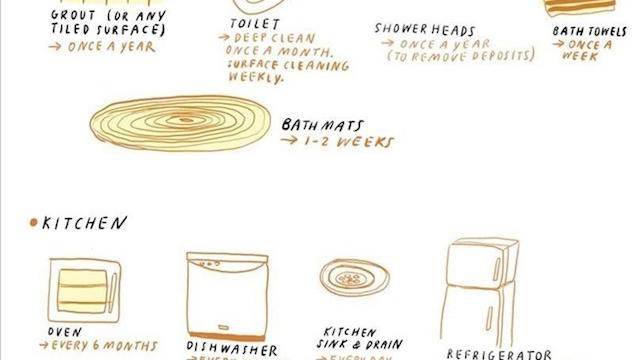 This Infographic Tells You How Often To Clean Household Items