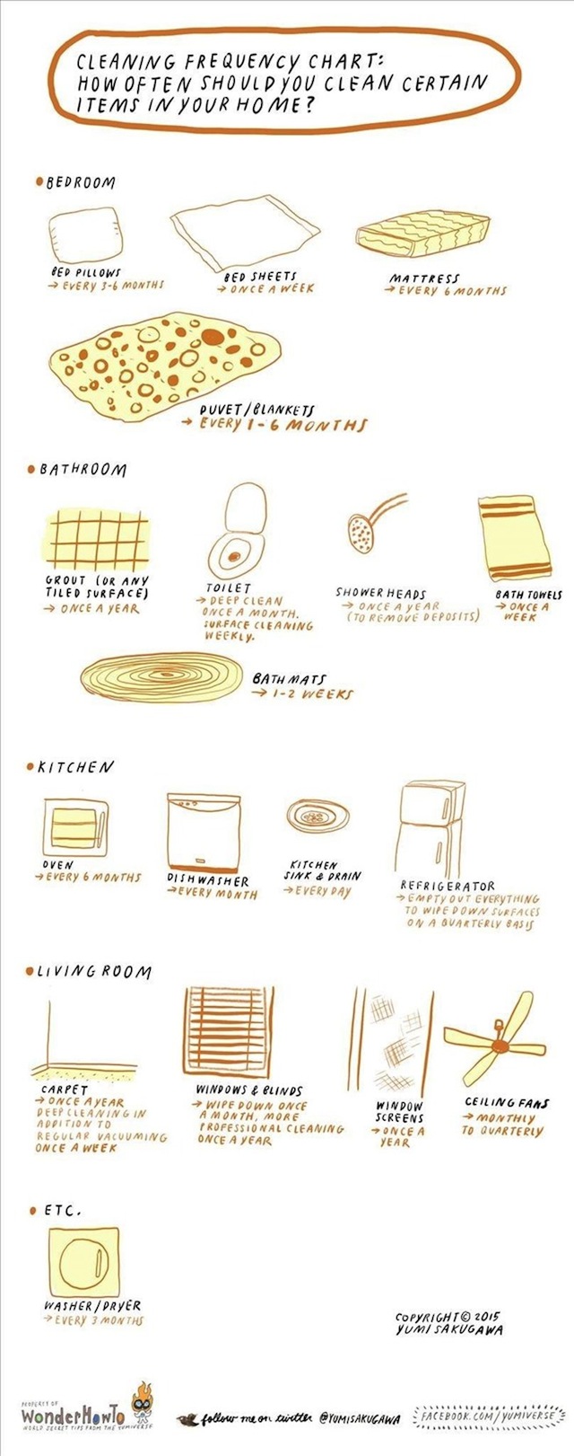 This Infographic Tells You How Often To Clean Household Items