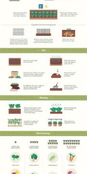 This Infographic Teaches You How To Grow Dozens Of Vegetables
