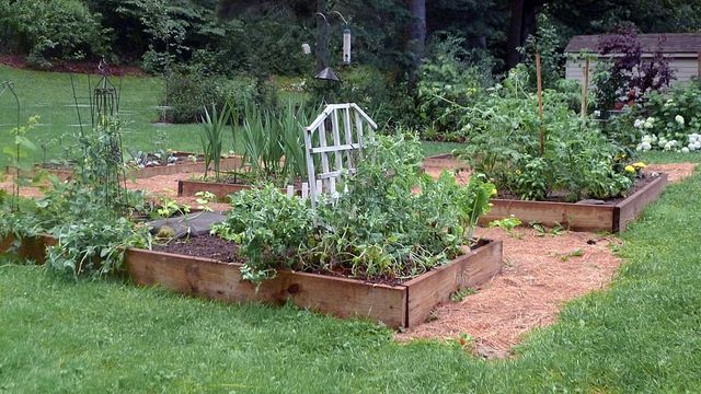 Skip The Digging And Tilling With A Lasagna Garden