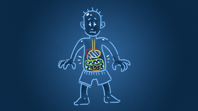 Six Myths About Digestion That Just Won’t Die