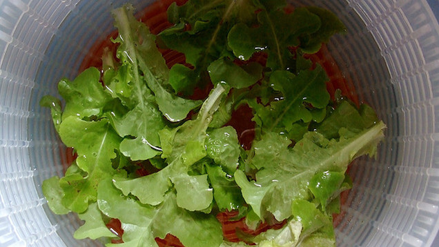Revive Salad Greens With A Five-Minute Soak In Water