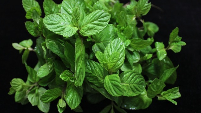 When You Have A Surplus Of Mint, Make Mint Sugar