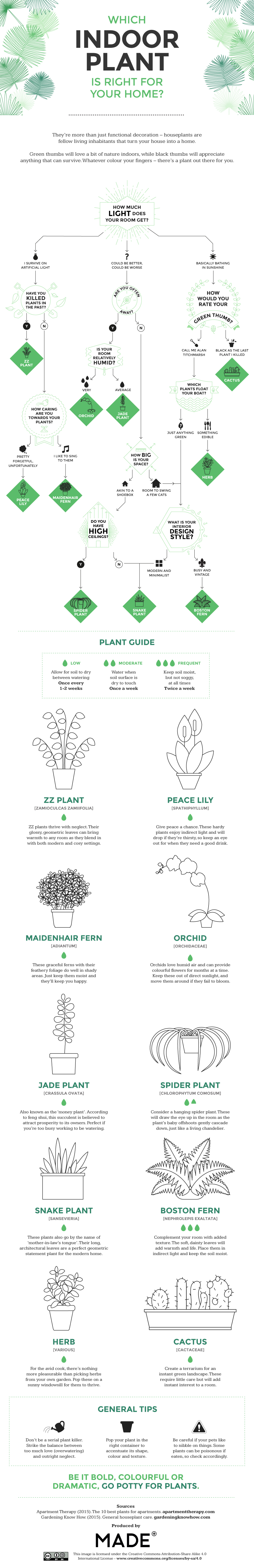 Choose An ‘Unkillable’ Indoor Plant With This Flowchart