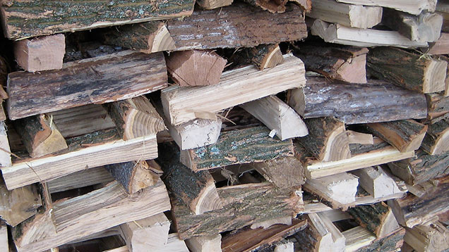 How To Pick The Best Firewood For Clean-Burning, Long-Lasting Fires