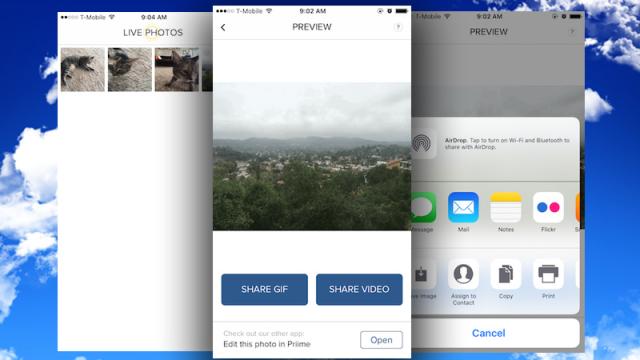 Live GIF Turns iPhone 6s Live Photos Into GIFs
