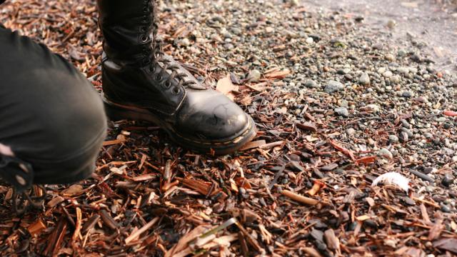 The Benefits Of Laying Mulch In The Winter