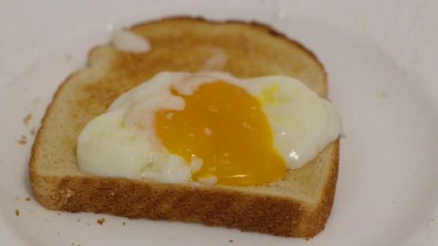 All The Ways To Sous Vide Eggs, Ranked