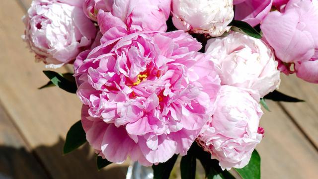 Create Your Own Professional-Looking Flower Arrangements On The Cheap