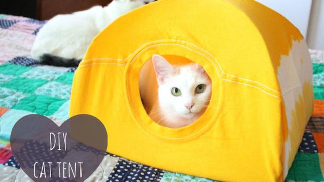 Turn An Old T-Shirt Into A DIY Cat Tent