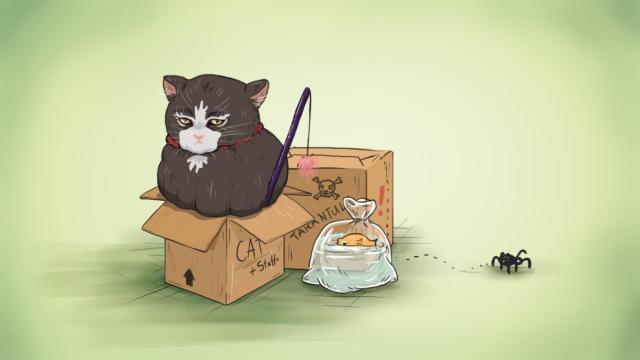 How To Prepare Your Pets For A Big Move