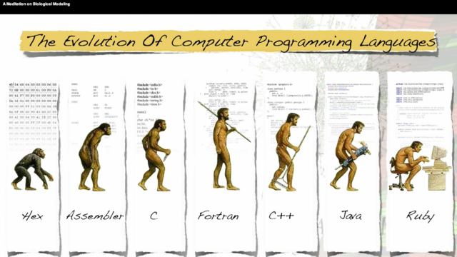 Learn The Basics Of Four Programming Languages To Get To The Early Coder Stage
