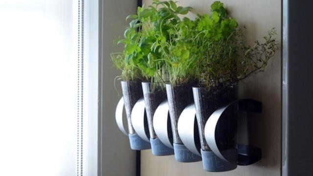 Turn An IKEA Wine Rack Into A Wall-Mounted Herb Garden