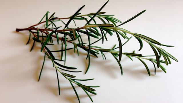 Use Herb Stems To Infuse Oil, Vinegar And Stock Instead Of Tossing Them