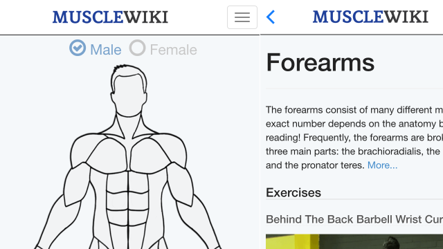 The MuscleWiki App Puts A User-Friendly Exercise Database On Your Phone