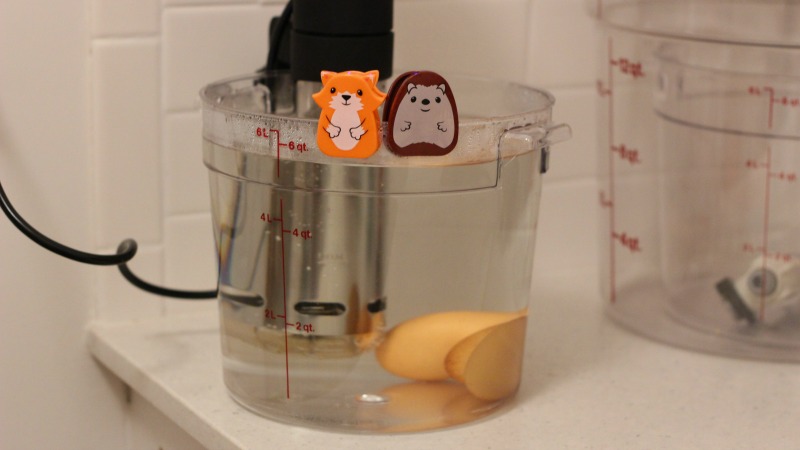 Will It Sous Vide? Totally Safe Raw Cookie Dough