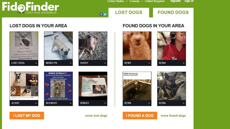 How To Find A Lost Dog Or Cat