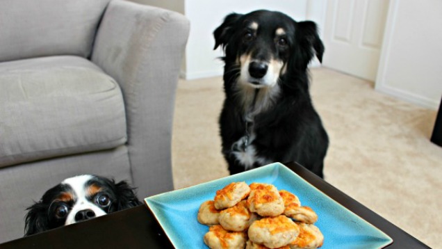 Easy Dog Treats You Can Make For Your Furry Friend