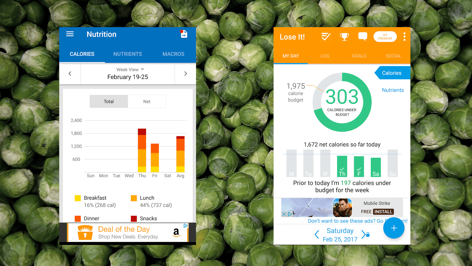 Diet Tracker Showdown: MyFitnessPal Vs. Lose It