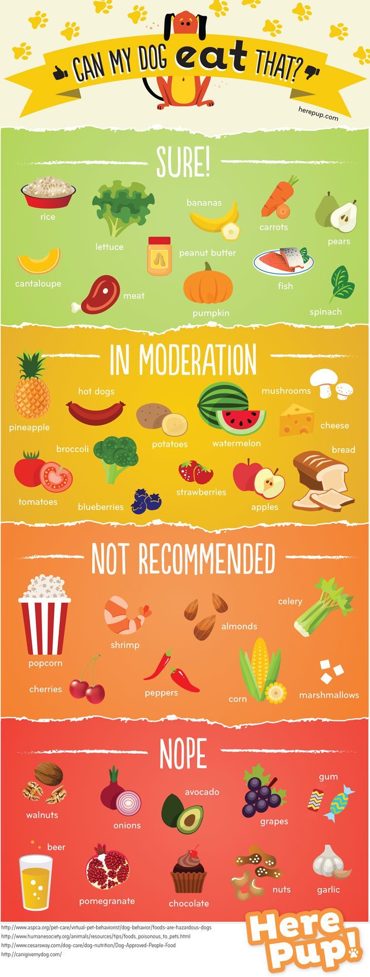 The Common Foods Dogs Can and Can’t Eat [Infographic]