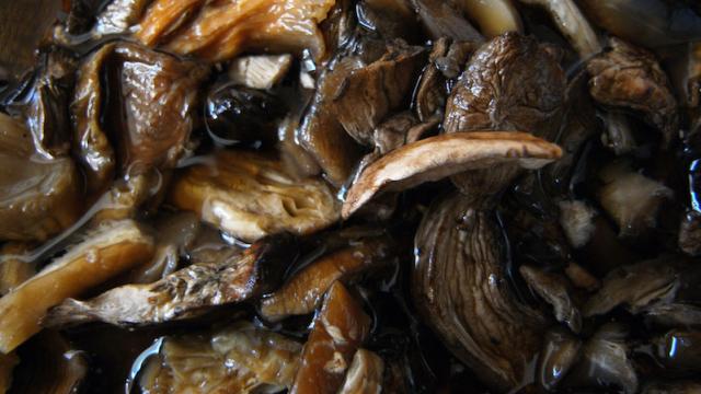 The Trick To Getting The Most Flavour Out Of Dried Mushrooms