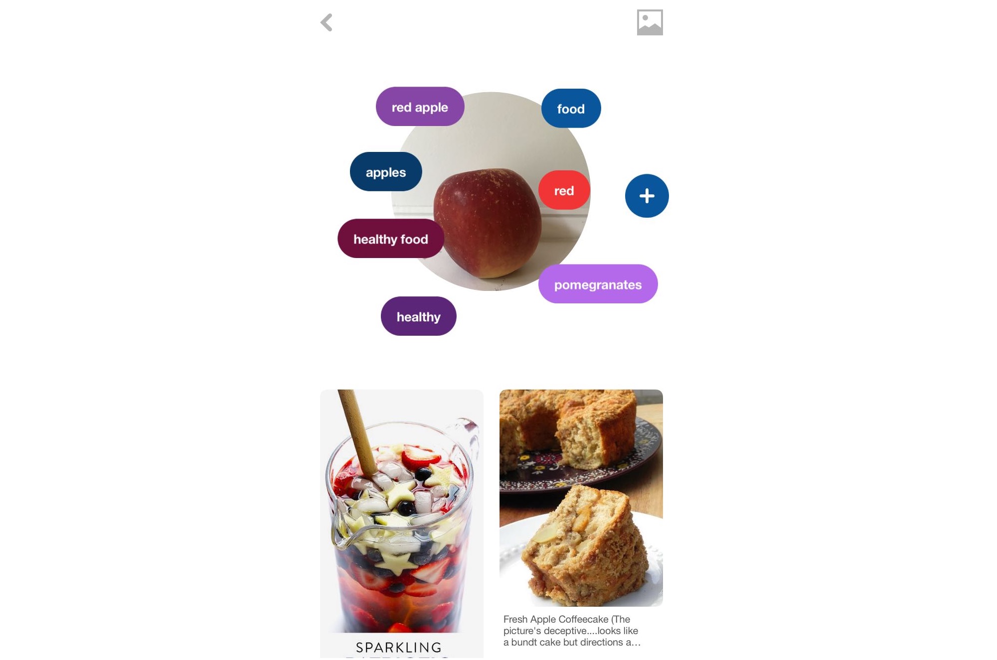 Pinterest’s New ‘Dish Recognition’ Tool Turns Your Cafe Food Pics Into Instant Recipes