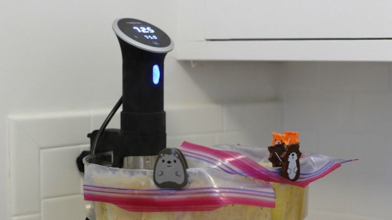 The First 5 Things You Should Sous Vide With Your New Immersion Circulator
