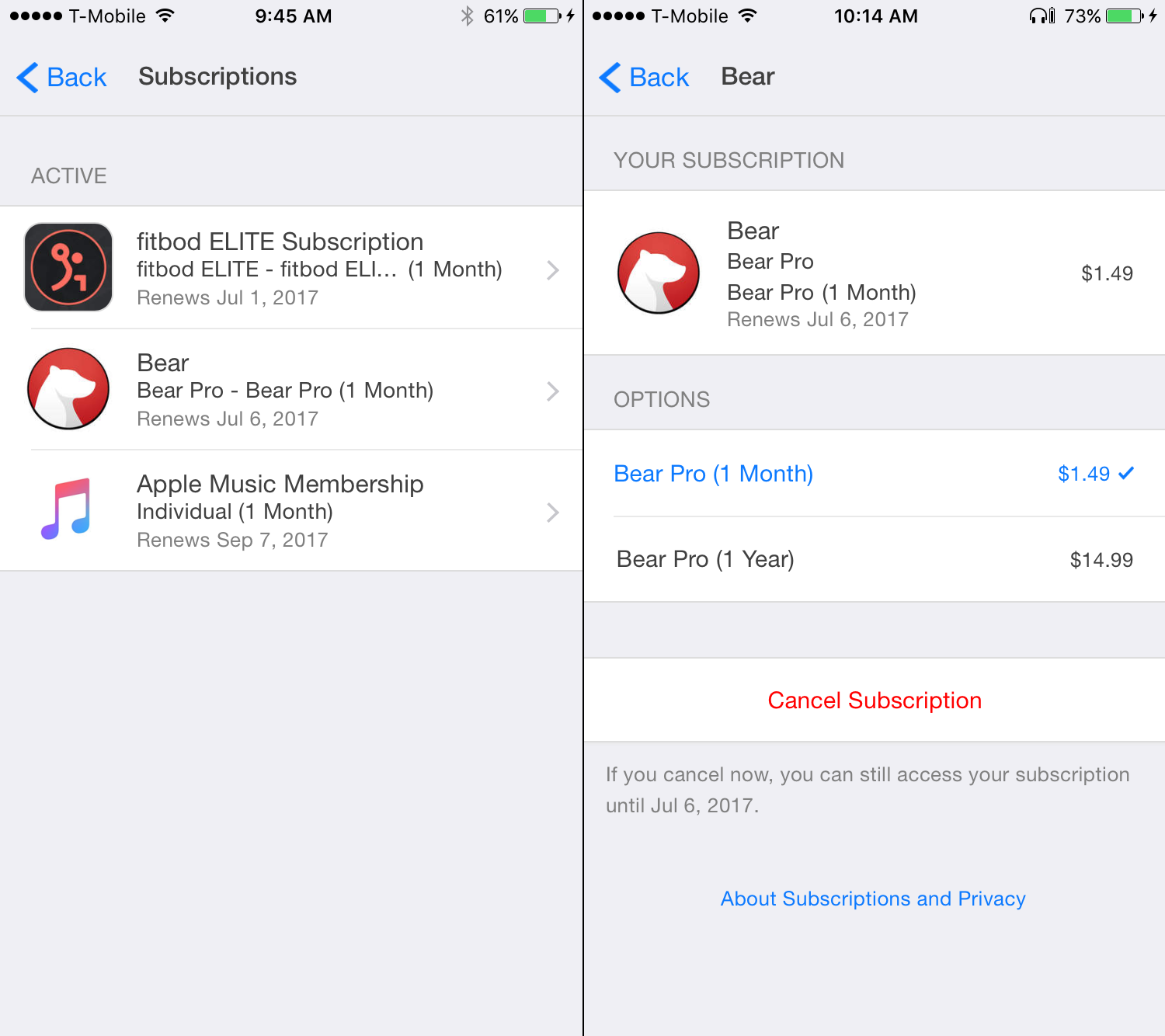 How To Cancel Your Useless iOS App Subscriptions