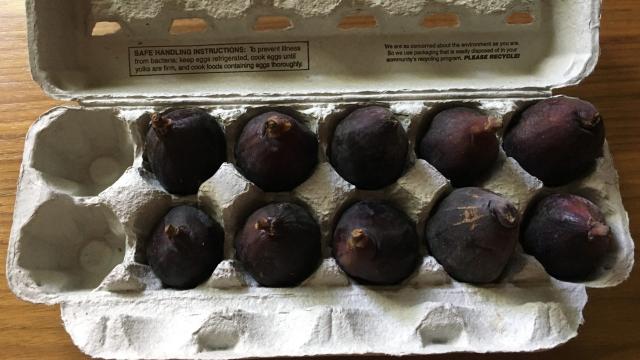 How To Store Fresh Figs So They Really Last