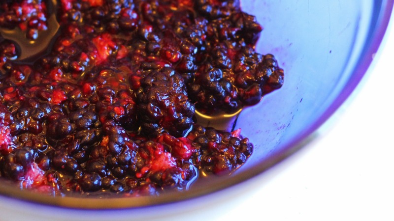 How To Use Up Pretty Much Any Leftover Berries By Turning Them Into Salsa