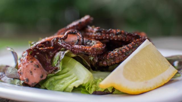 Cooking Octopus On The Grill Is Way Easier Than You Think