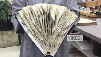 How To Salvage A Water-Damaged Book