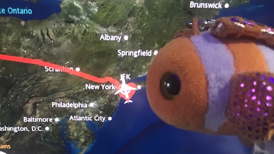 Take Photos Of Your Kid’s Stuffed Animal On Your Work Trips 