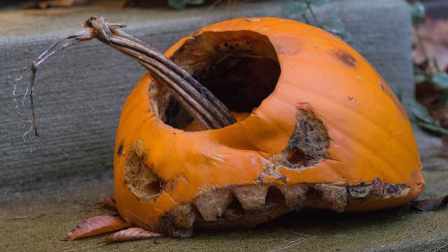 How To Avoid A Rotten Jack-O’-Lantern