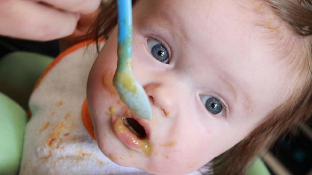 Babies Can Feed Themselves Solid Food