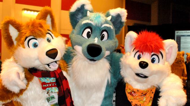 All Hotel Guests Should Behave Like These Furries