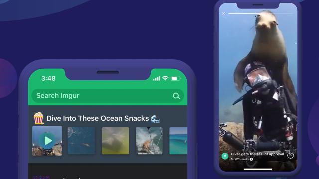 How To Use Imgur Snacks, The App’s New Stories-Style Feature