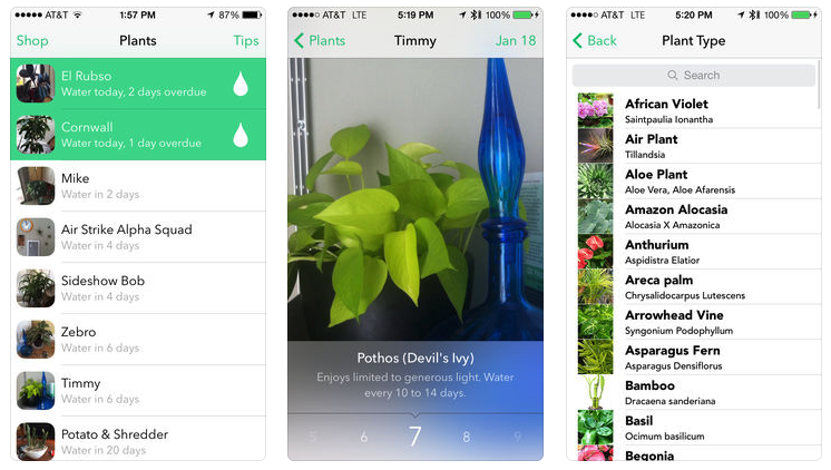 Always Remember When To Water Your Plants With This App