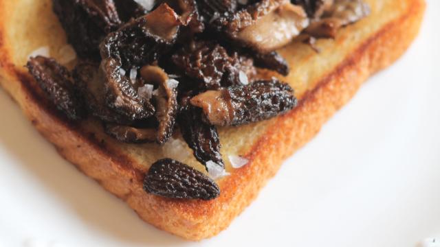 Soak Up Every Bit Of Morel Flavour By Frying Bread In The Leftover Butter