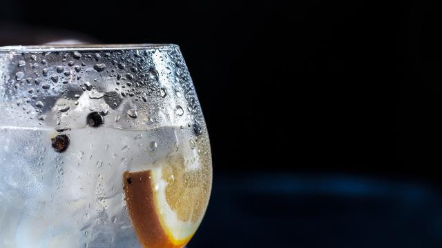 How To Make A Gin & Tonic That Doesn’t Suck
