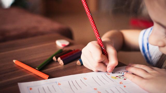 What To Do If You Think Your Child May Be Dyslexic 