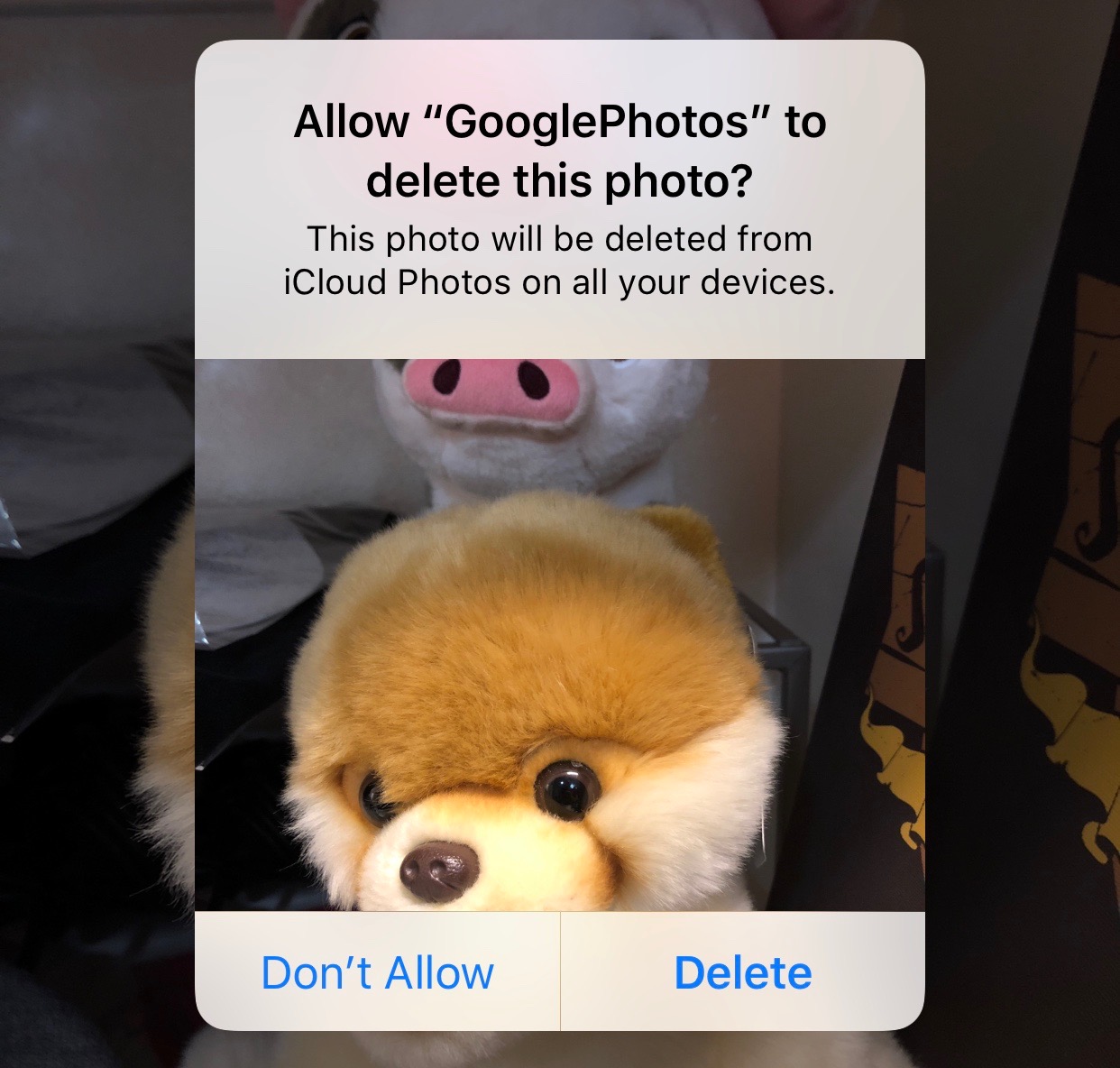Why Did ICloud Delete All Of My Photos?