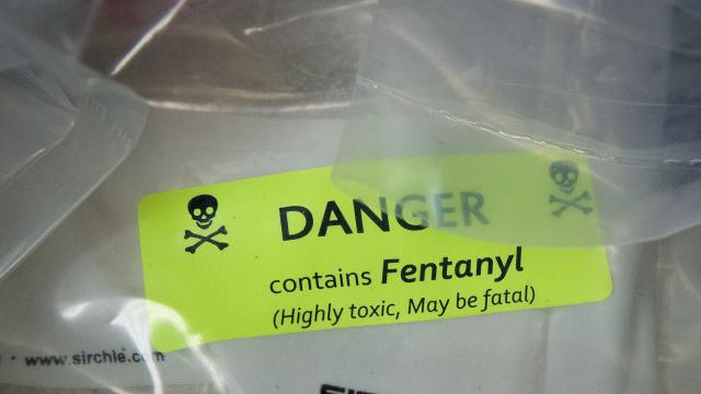 How To Get And Use Fentanyl Testing Strips