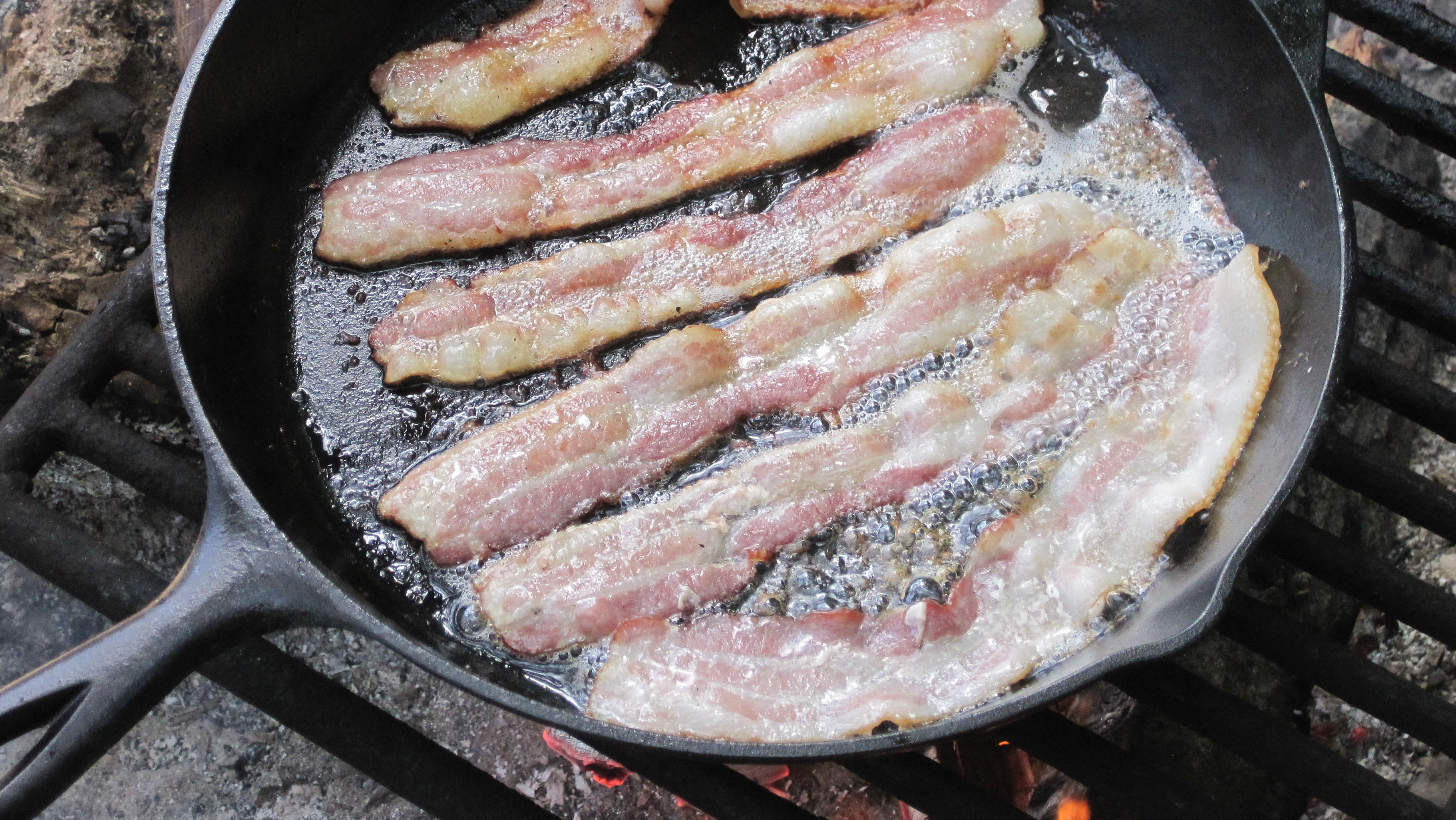 Tips for Discarding Bacon Fat