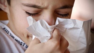 What To Do When Your Allergy Meds Stop Working