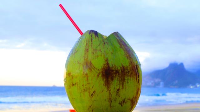 Coconut Water Is Not Actually Good For You