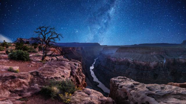 Virtually Stargaze at the Grand Canyon All Week